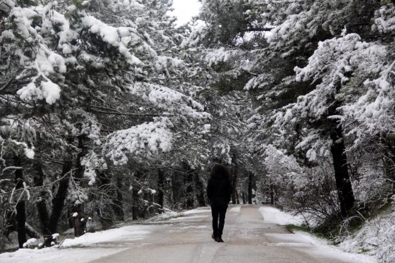 Bolu Abant'ta kar yağışı: 10 santimetreye ulaştı