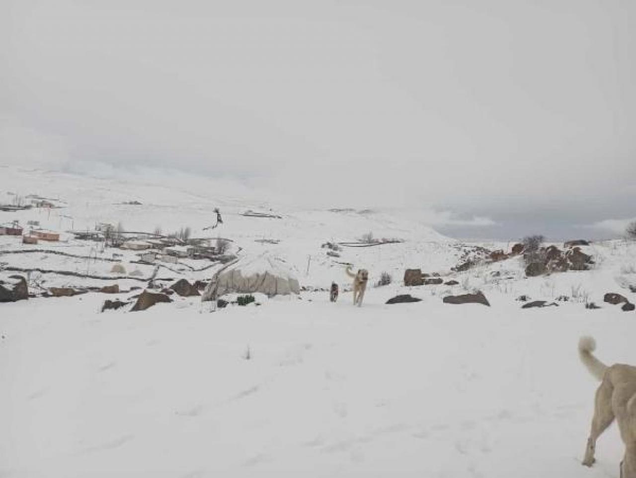 Üç şehirde kar ve dolu etkili oldu! Çığ uyarısı geldi!