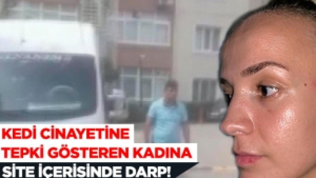 Site sakini kadınla servis şoförünün "kedi ezme" kavgası