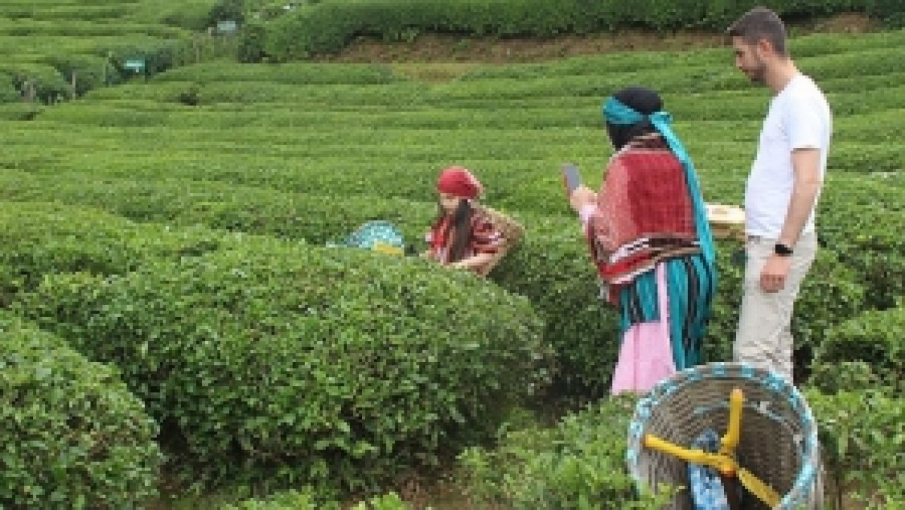 Rize’de 'Çay Turizmi' Bereketi