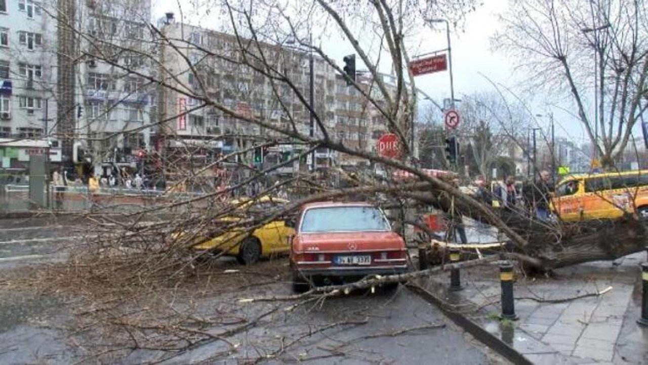 Fatih'te Ağaç 2 Aracın Üzerine Devrildi