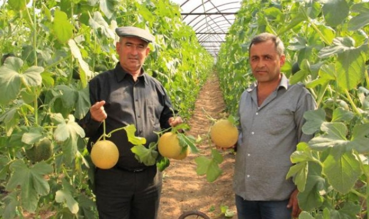 Kumluca'da Kavunda Erken Hasat