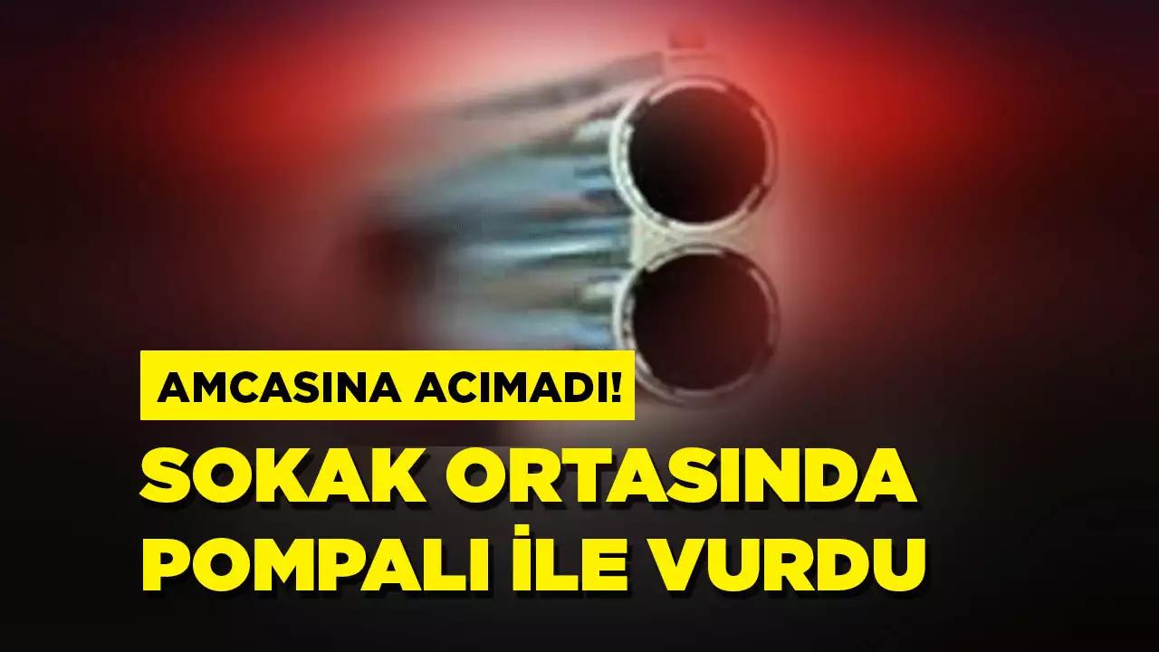 Sokak ortasında cinayet! Amcasını öldürdü