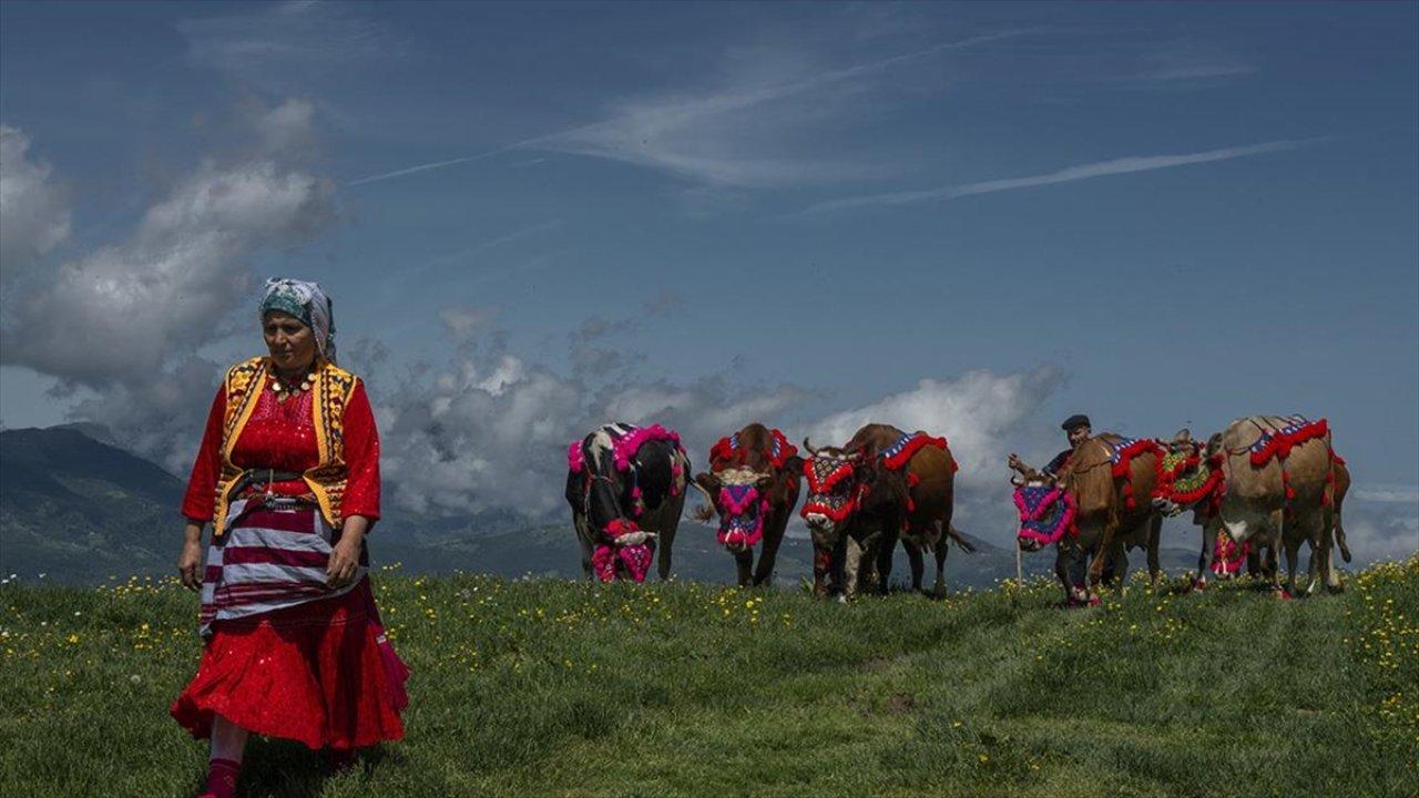 Karadeniz'de şenlik havasında göç yolculuğu: "Festivallere gider gibi"