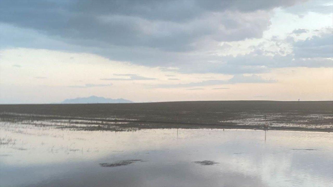 Konya'da tarım arazilerini su bastı