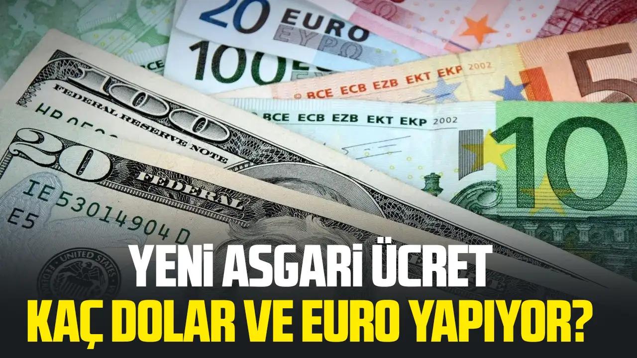 Yeni asgari ücret kaç dolar ve euro yapıyor? Asgari ücretin dolar ve karşılığı