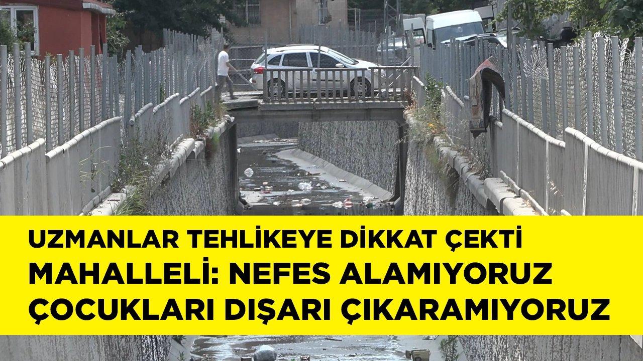 Kent alarma geçti: Çocukları dışarı çıkaramıyoruz!