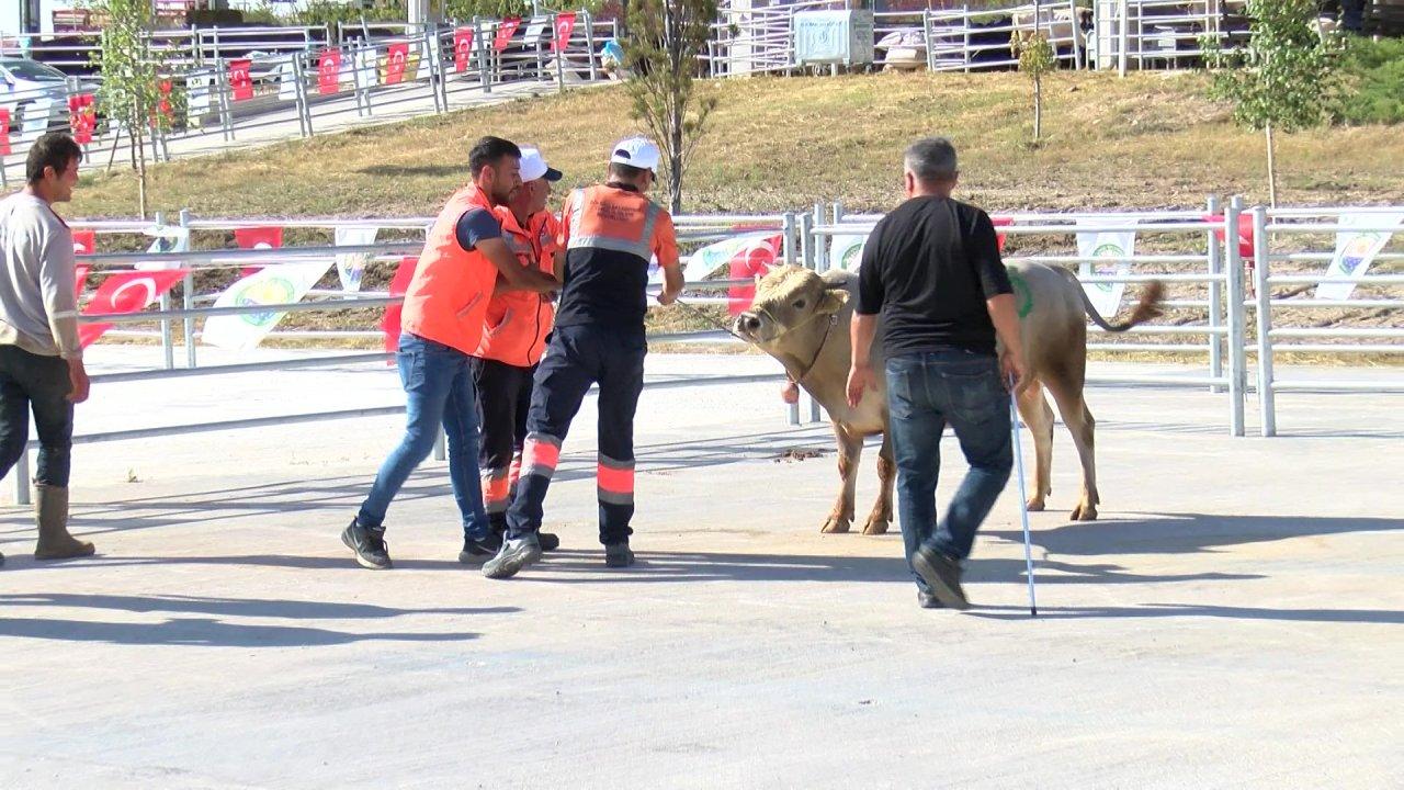 "Kurban yakalama timi" göreve hazır!