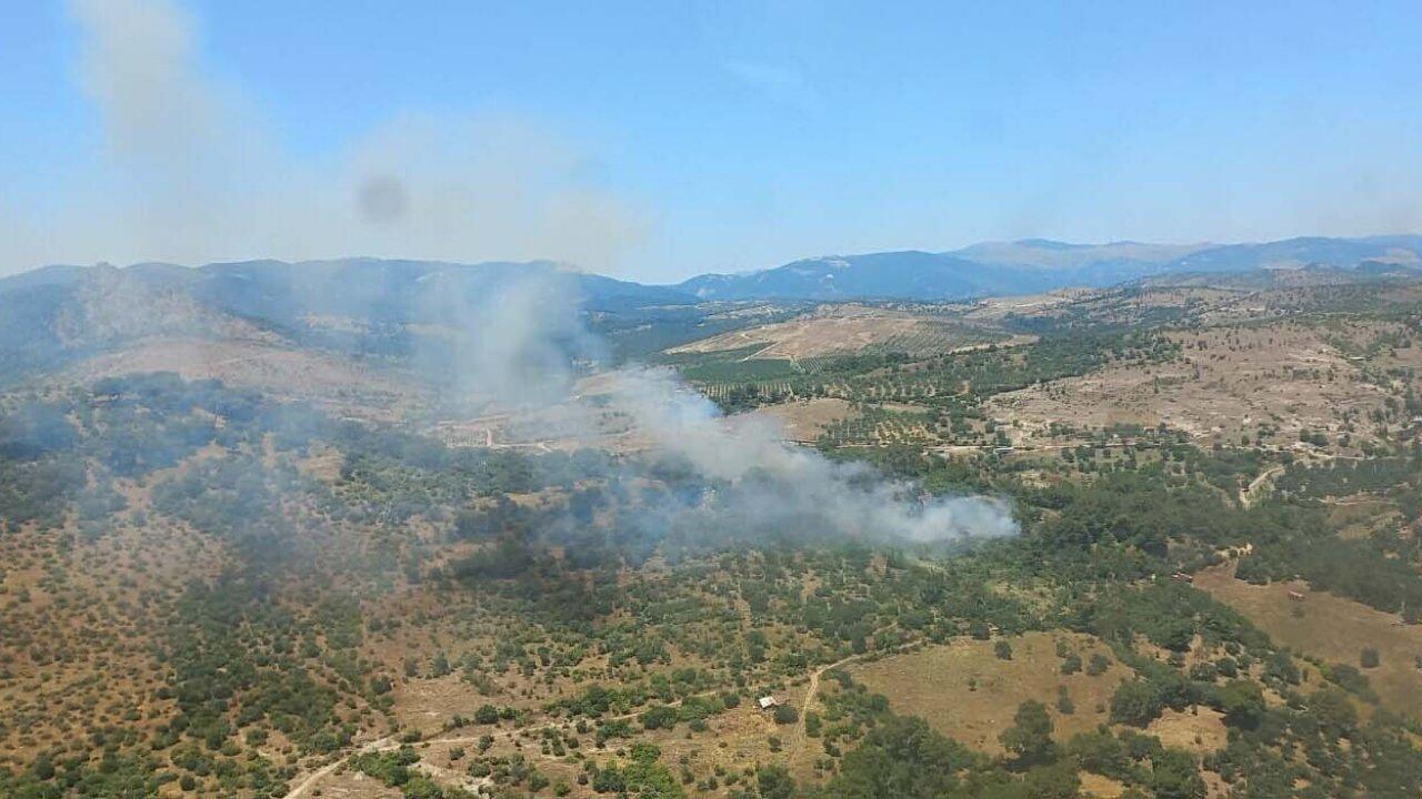 Bergama'da orman yangını