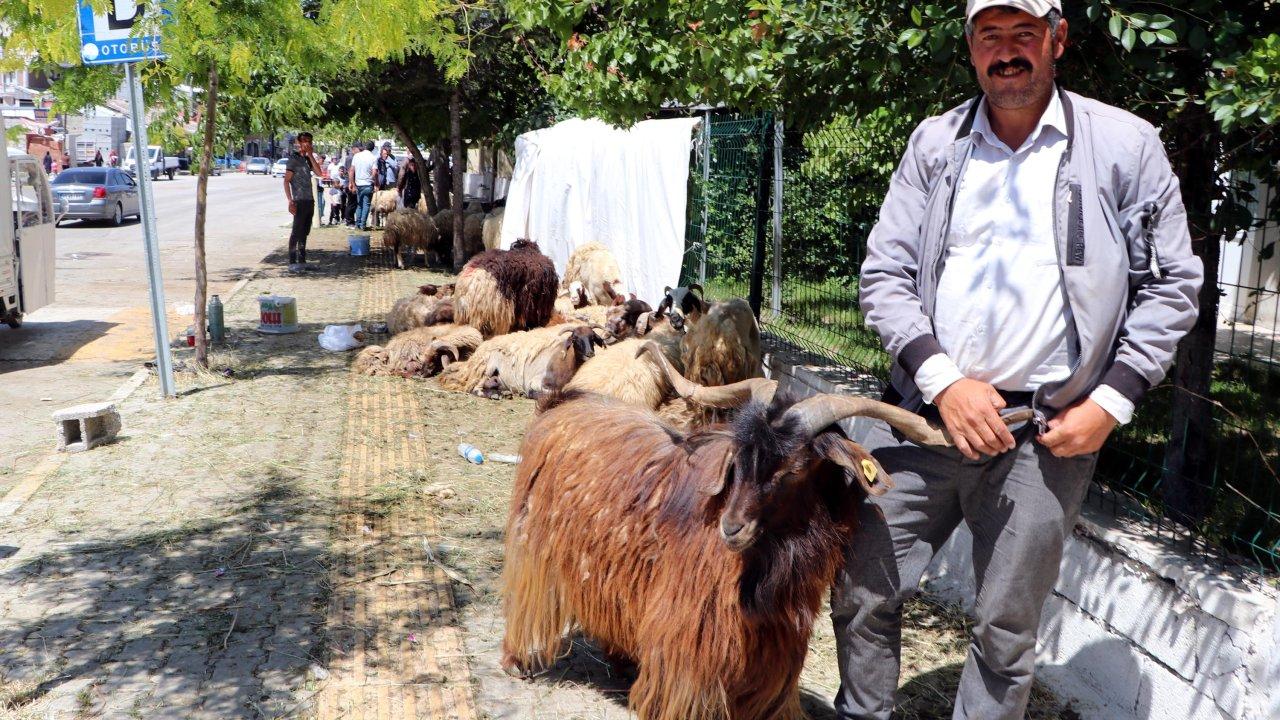 Elde kalan kurbanlıkların fiyatı düştü