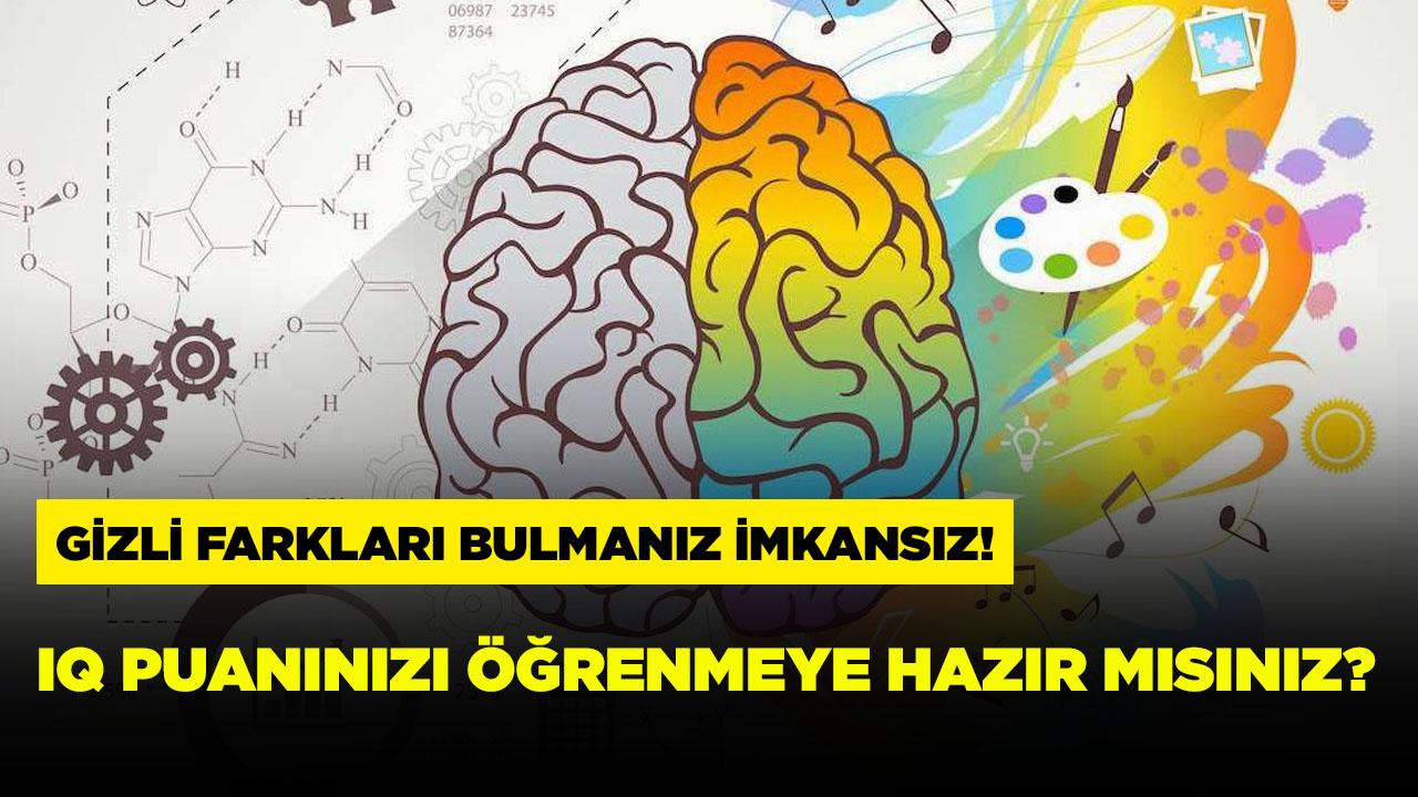 Sadece keskin gözlü insanlar 3 saniyede bulabiliyor!