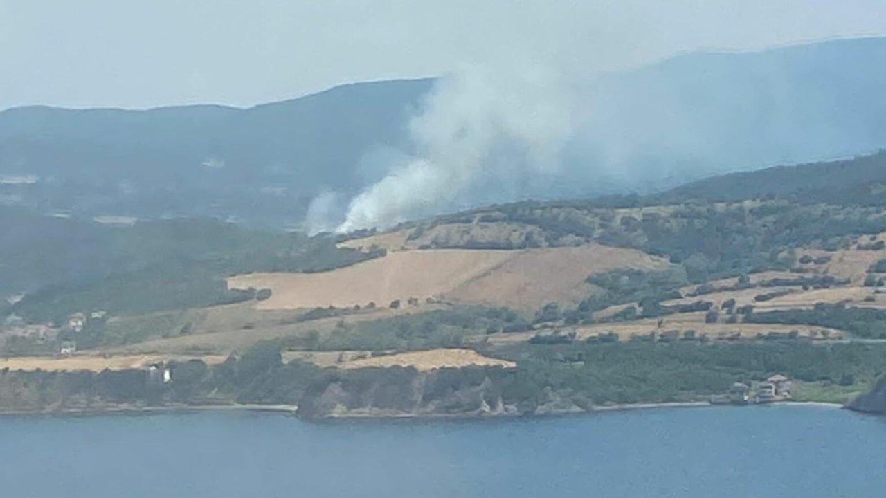 Çanakkale'de orman yangını