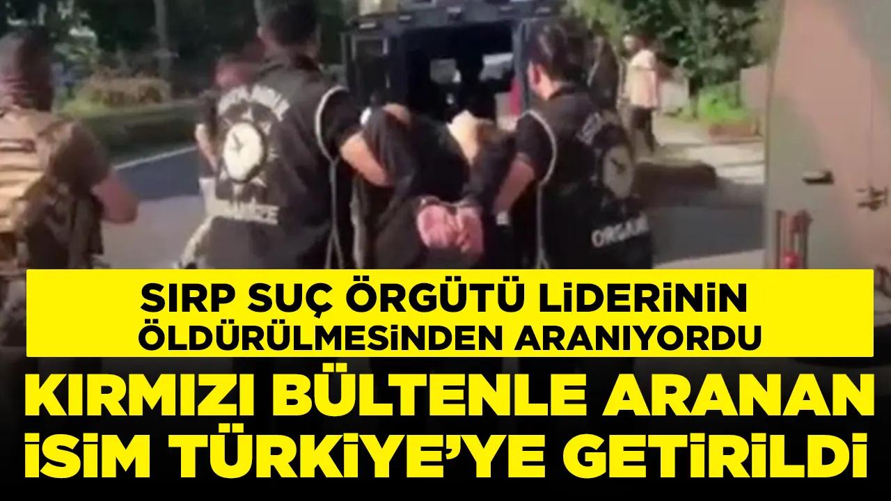 Sırp suç örgütü liderinin öldürülmesinden aranıyordu: Yakup Doğan Türkiye'ye getirildi