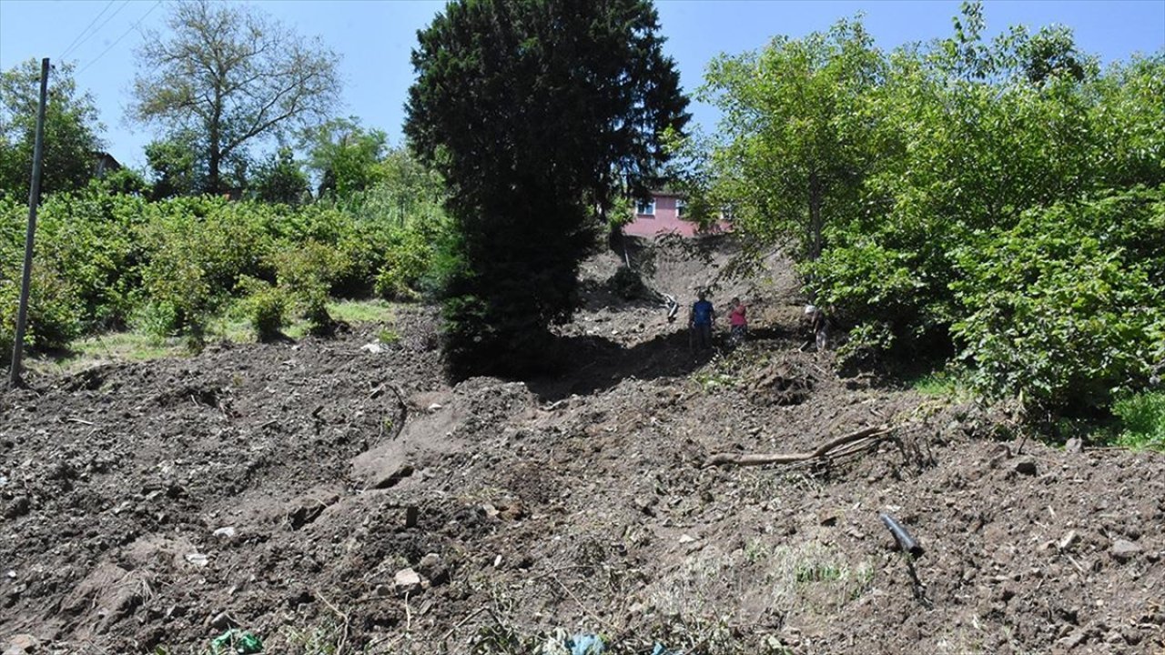 Düzce'deki sel felaketi: Fındığı da etkiledi