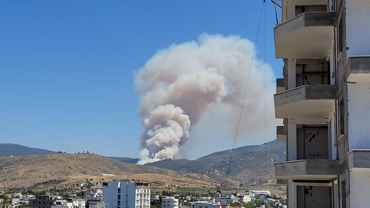 Hatay’da orman yangını