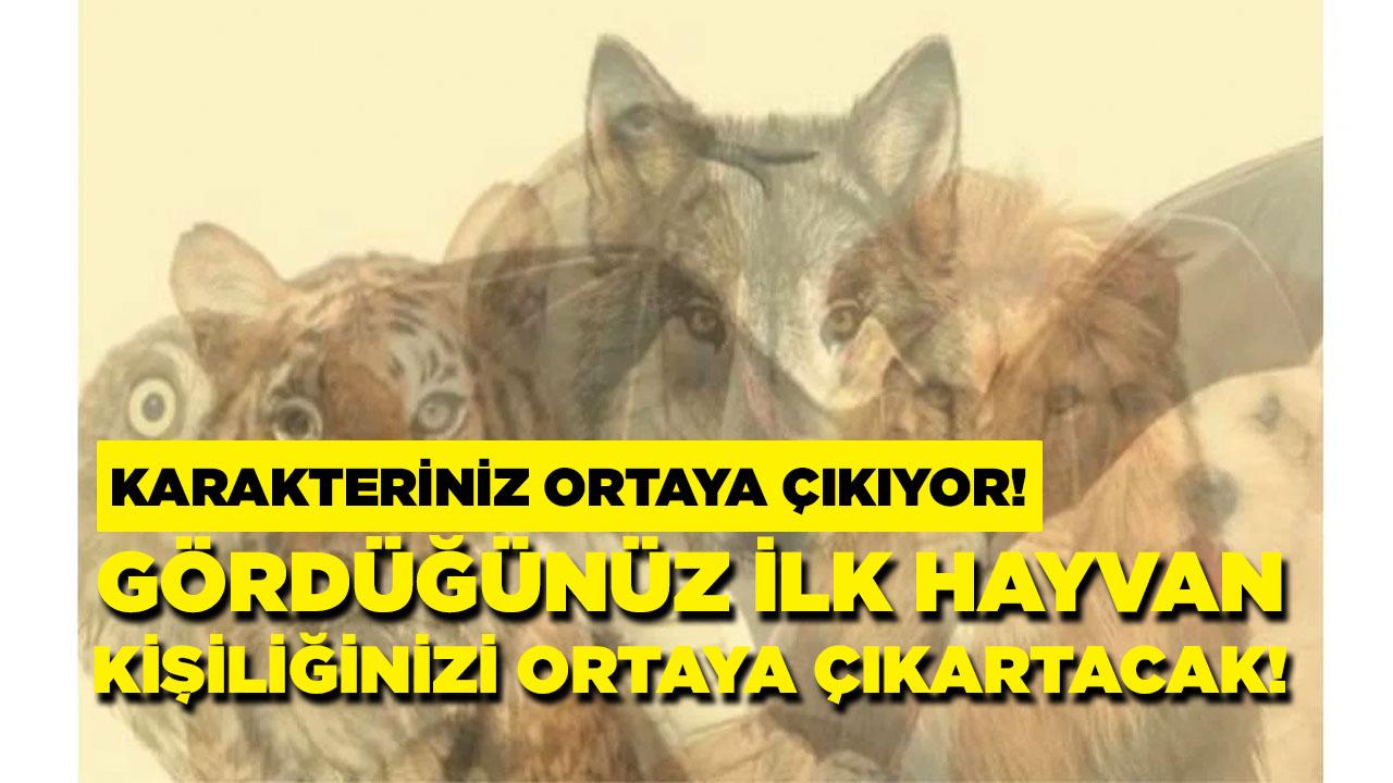 Gizli yönünüzü keşfetmeye hazır mısınız?