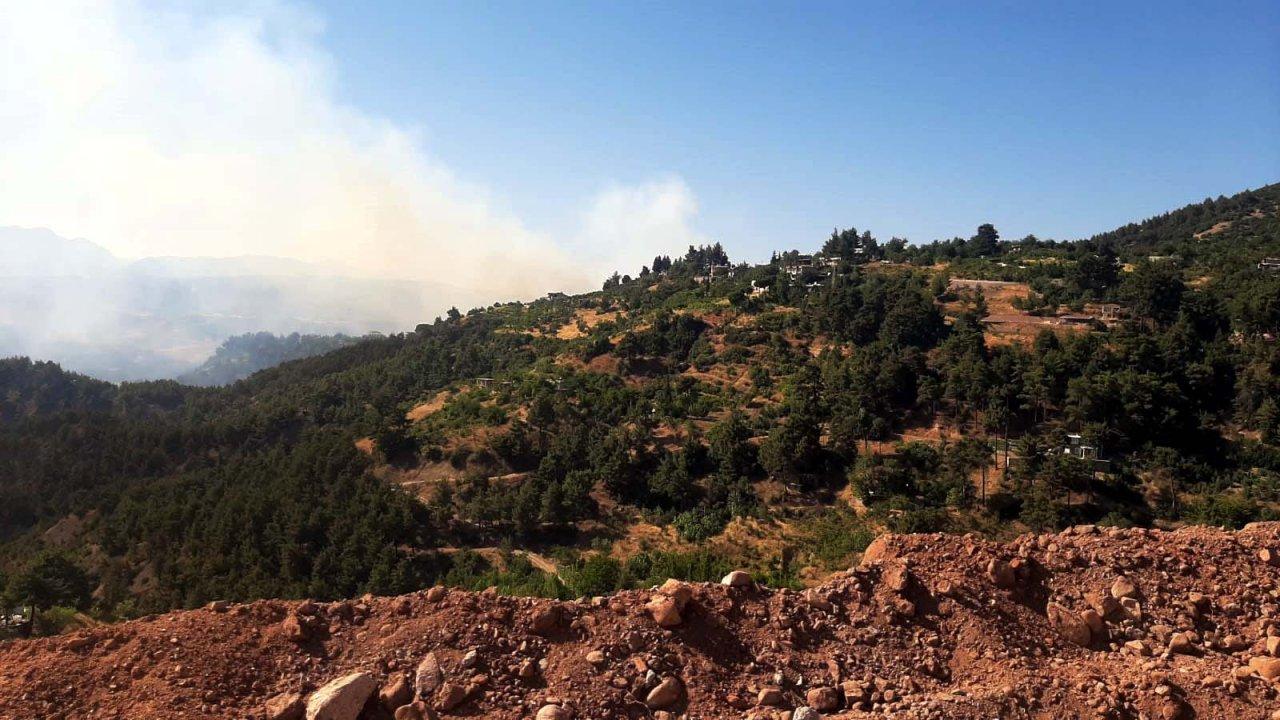 Kahramanmaraş'ta orman yangını