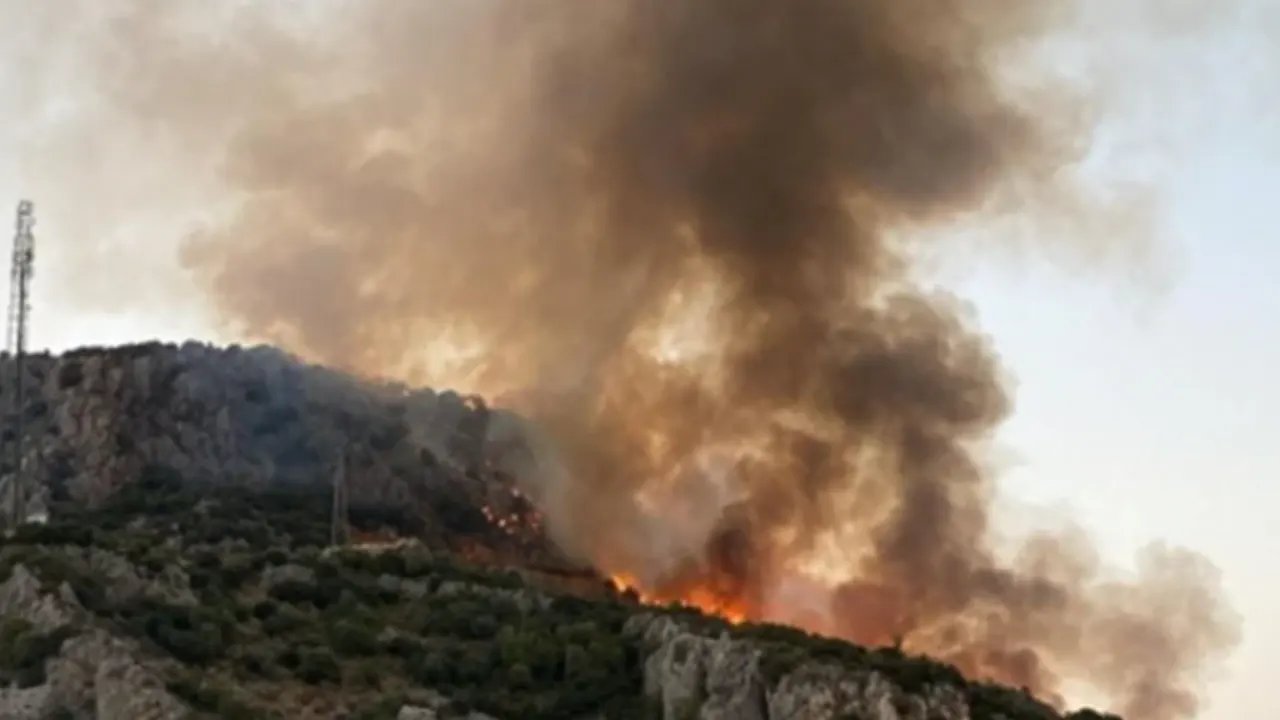 Muğla'daki orman yangını kontrol altına alındı: 1 gözaltı