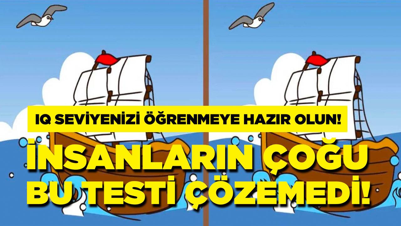 İnsanların %98'i iki gemi arasındaki 3 farkı bulamadı!