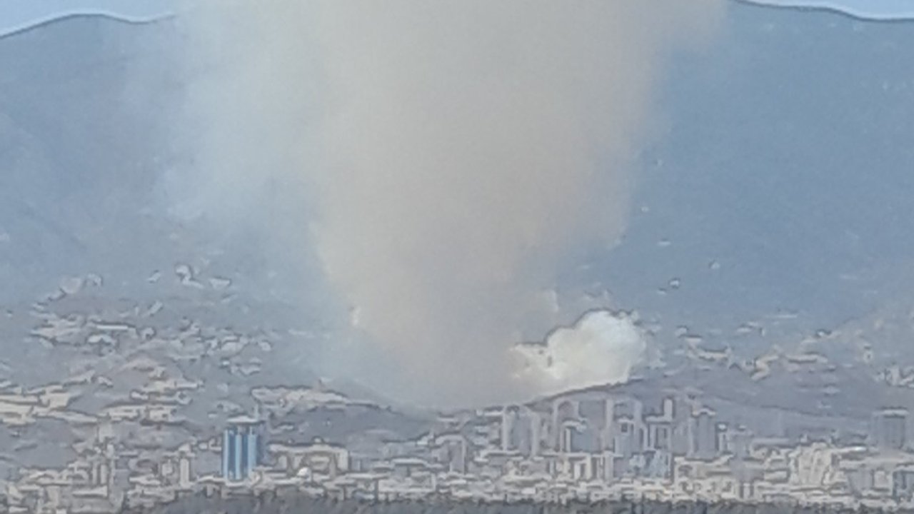 Hatay'da orman yangını