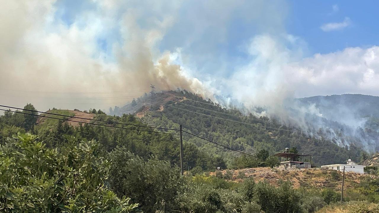 Hatay'da orman yangını