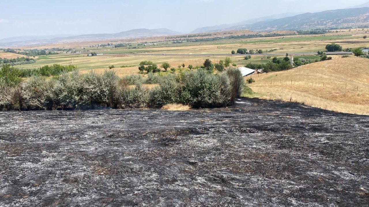 Bingöl'de orman yangını