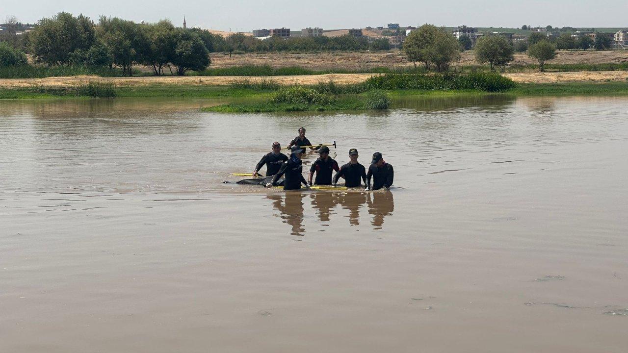 Dicle Nehri'nde kaybolmuştu: Saatler sonra acı haber geldi