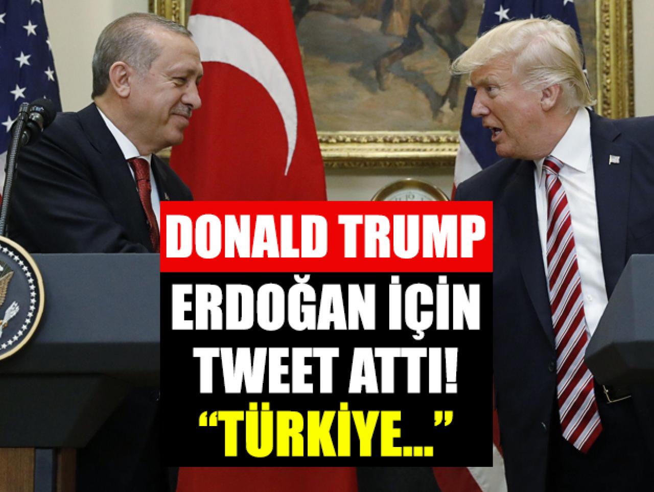 Donald Trump Twitter'da Erdoğan hakkında ne yazdı?