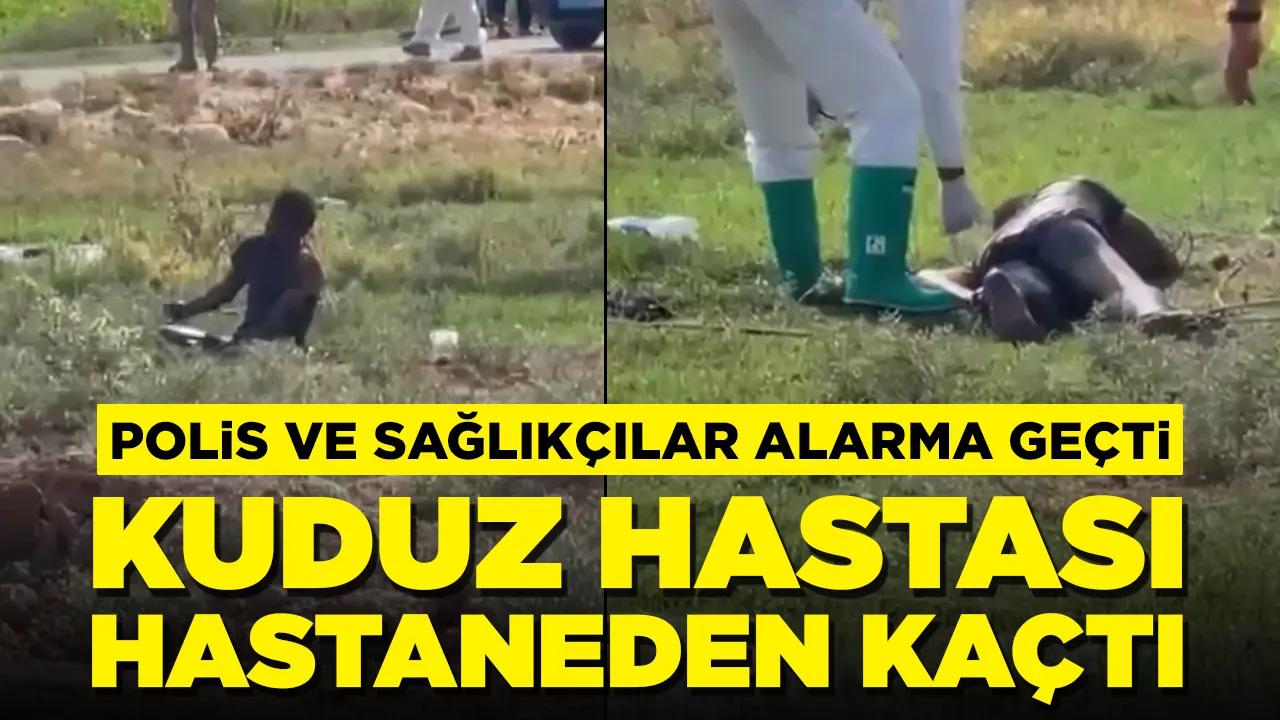 Polis ve sağlıkçılar alarma geçti: Kuduz hastası hastaneden kaçtı