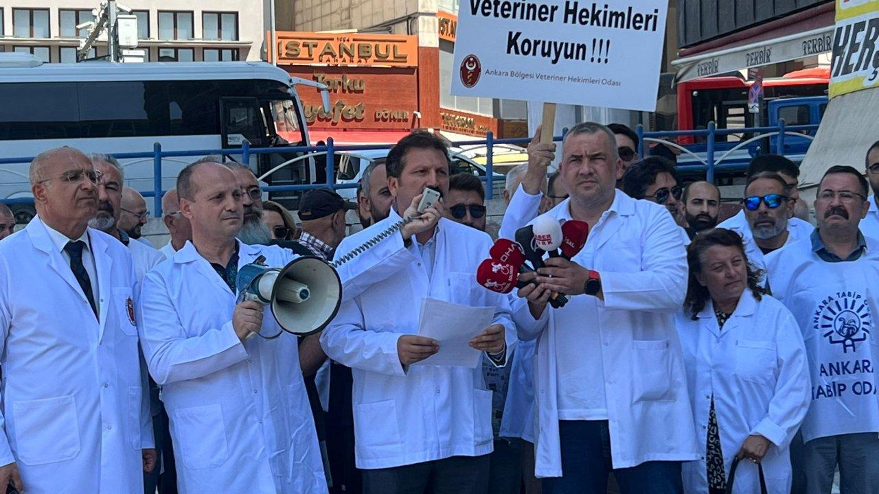 Veteriner hekimler iş bıraktı, taleplerini açıkladı