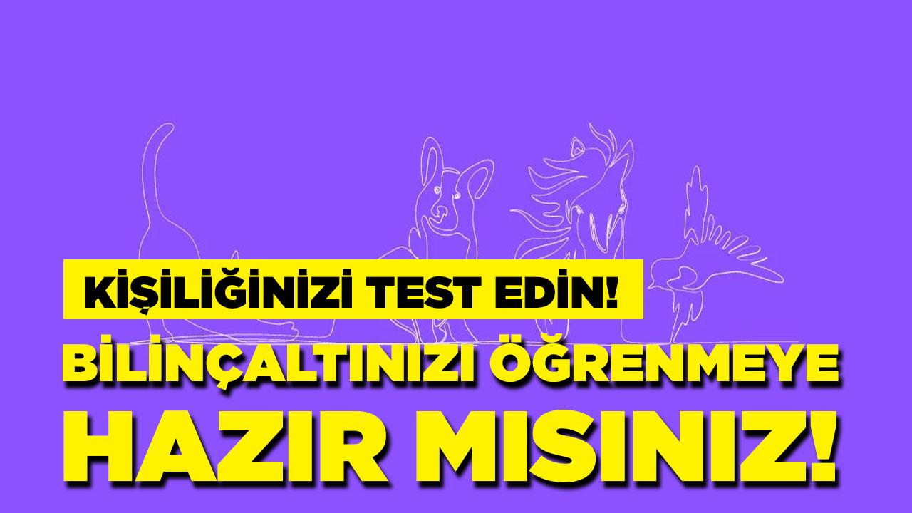 Bilinçaltınızı keşfetmeye hazırlanın! Kişiliğiniz ortaya çıkacak!