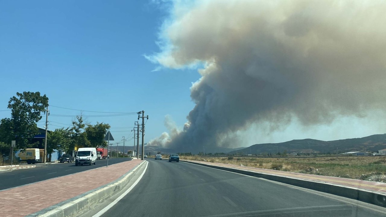 Çanakkale'de orman yangını: Müdahale sürüyor