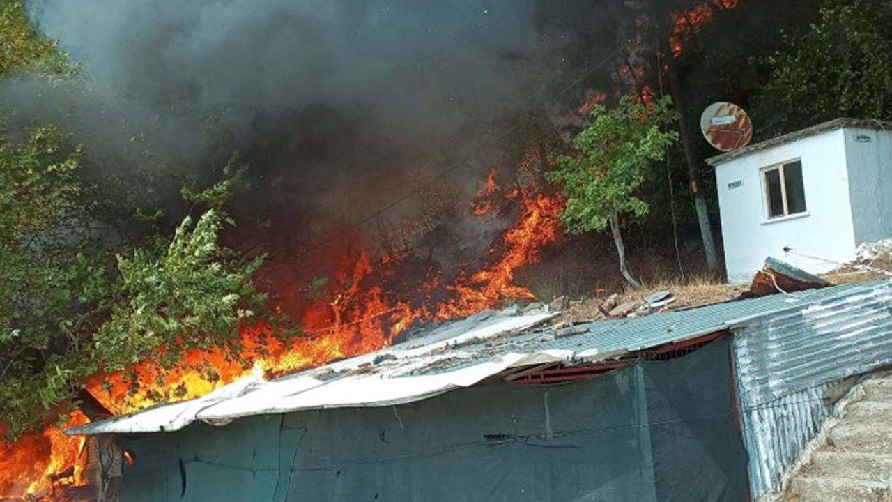 Çanakkale'de orman yangını