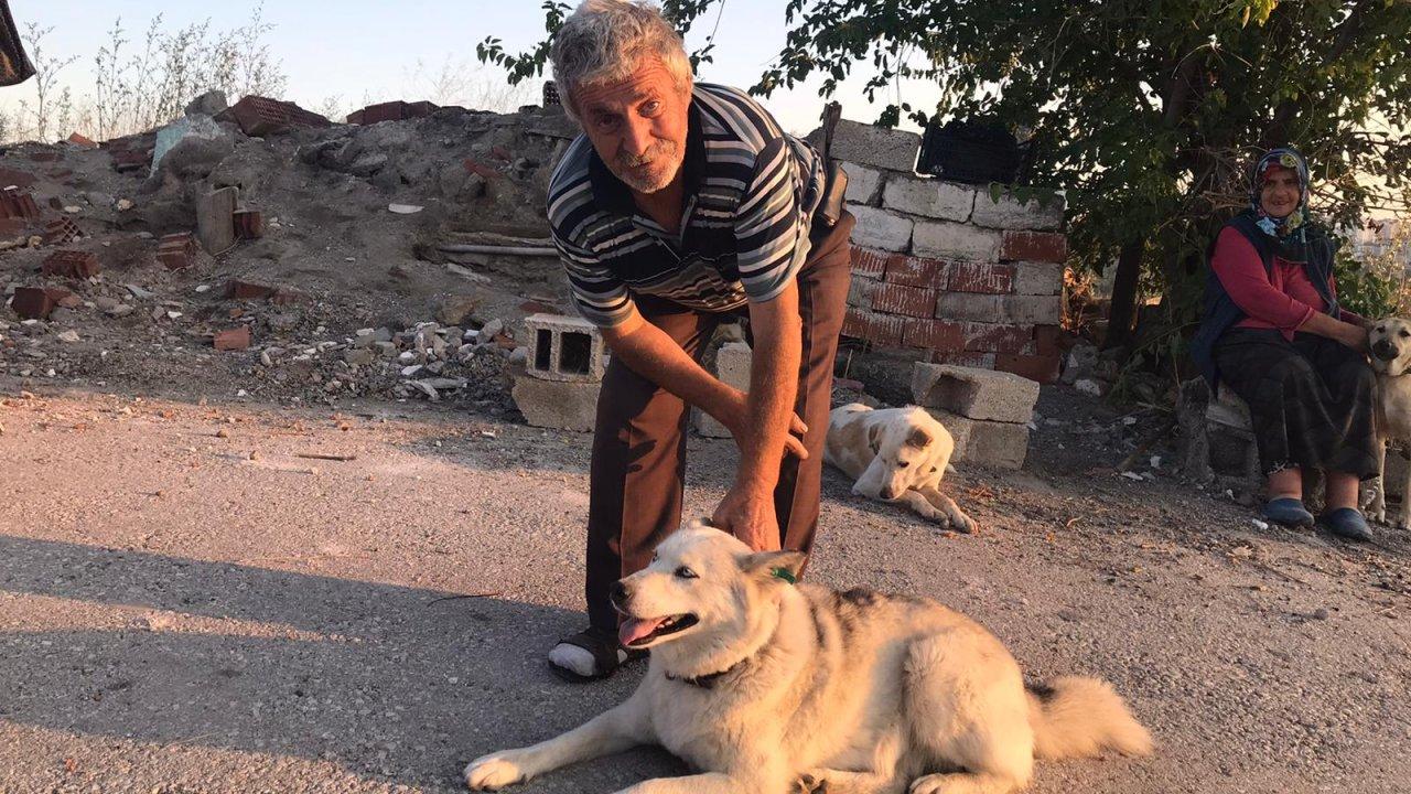 Sokak köpeklerini beslerken başından vuruldu