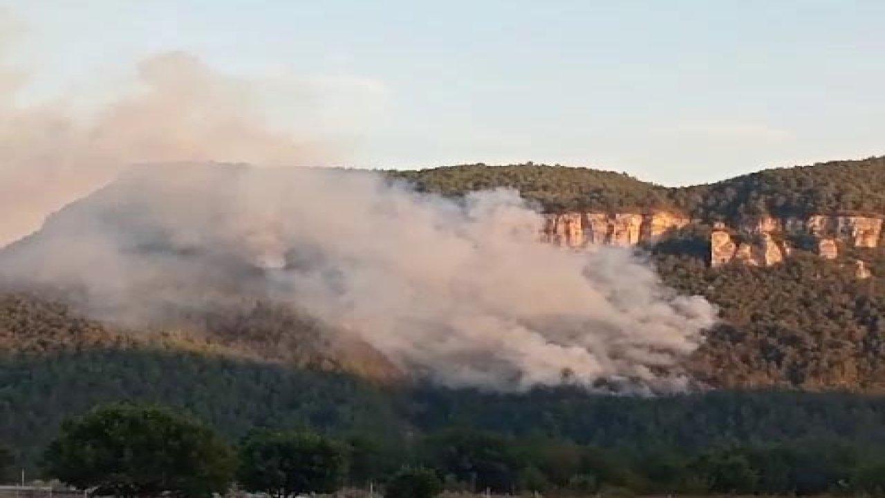 Karabük'te orman yangını