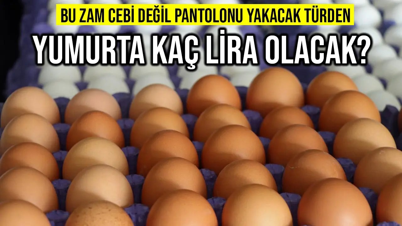 Bu zam cebi değil pantolonu yakar! İstanbul'da 1 karton yumurta kaç lira olacak?