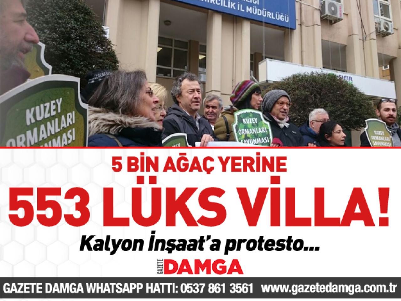 5 bin ağaç yerine 553 lüks villa!