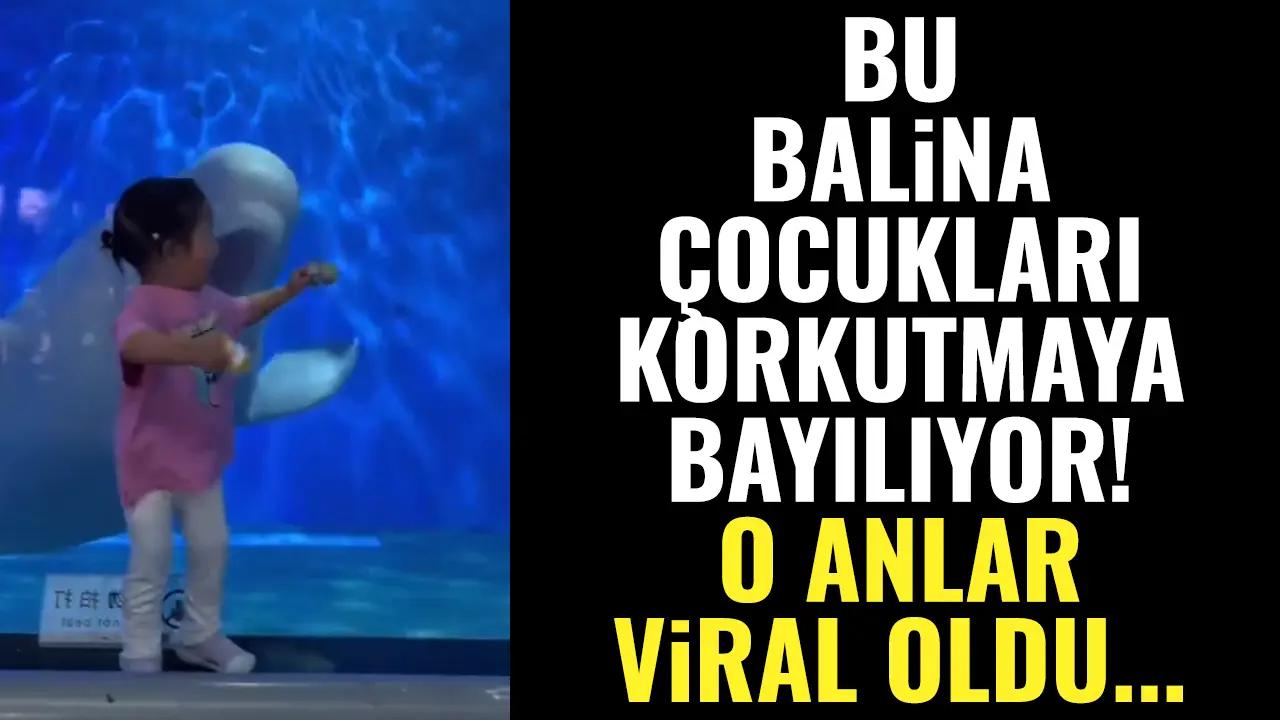 Çocukları korkutan balina dünyada viral oldu!