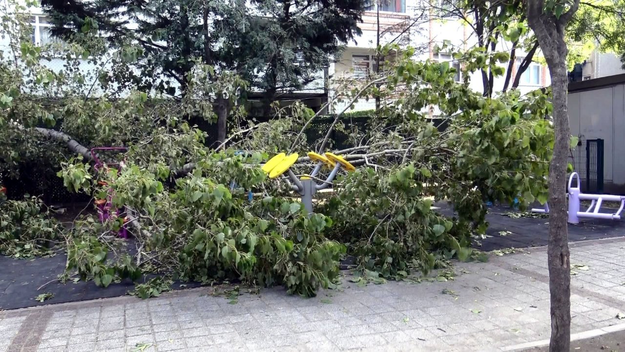 Parkta oynayan 3 çocuğun üzerine ağaç devrildi