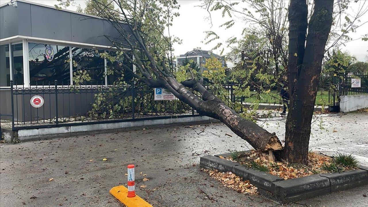 Rüzgarda devrilen ağaç polis noktasının üzerine düştü