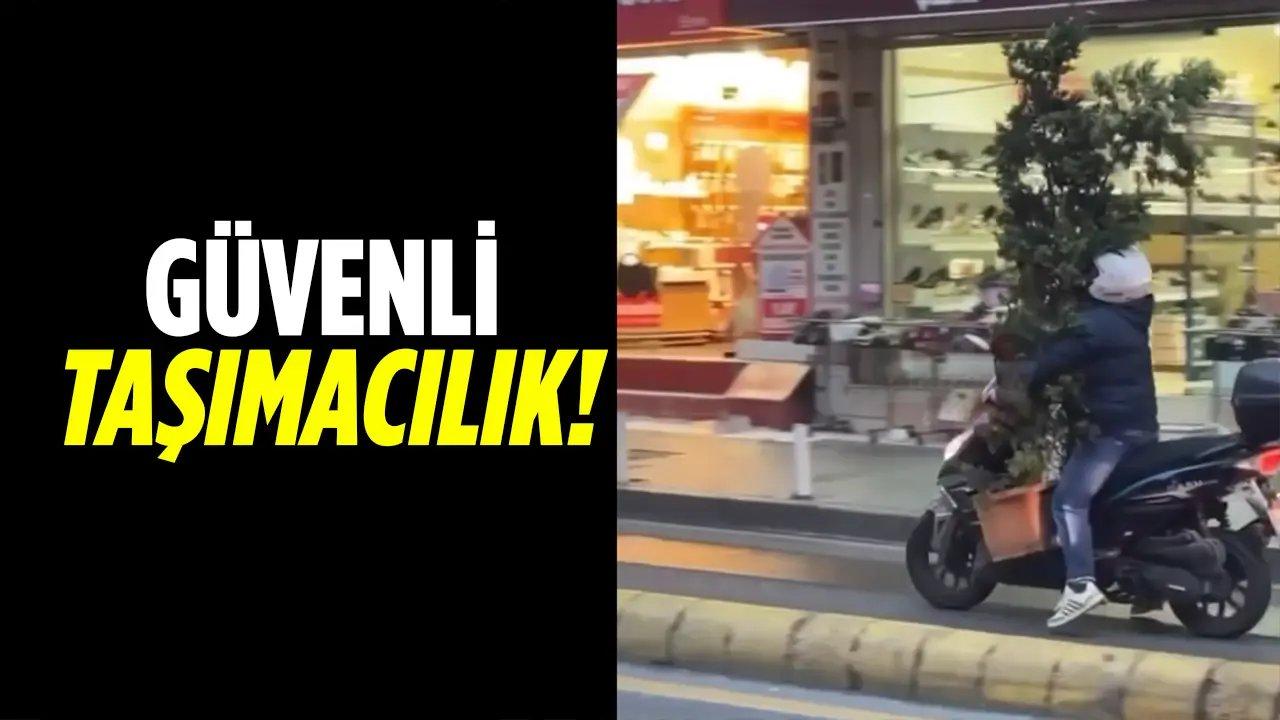 Motosikletle devasa saksıyı taşıdı!