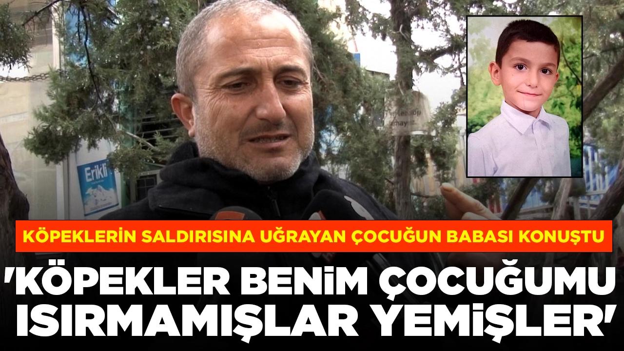 Köpeklerin saldırısına uğrayan çocuğun babası konuştu: 'Köpekler benim çocuğumu ısırmamışlar, yemişler'