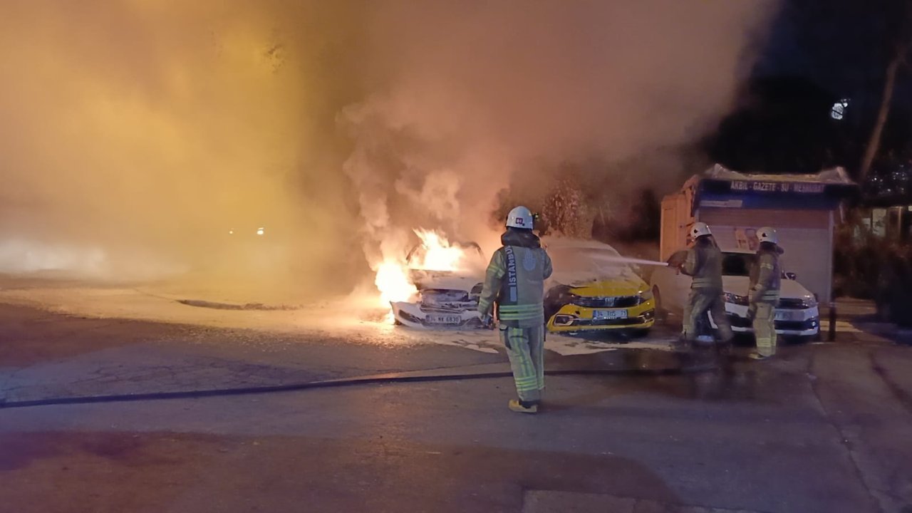 Park halindeki araçlar alev alev yandı