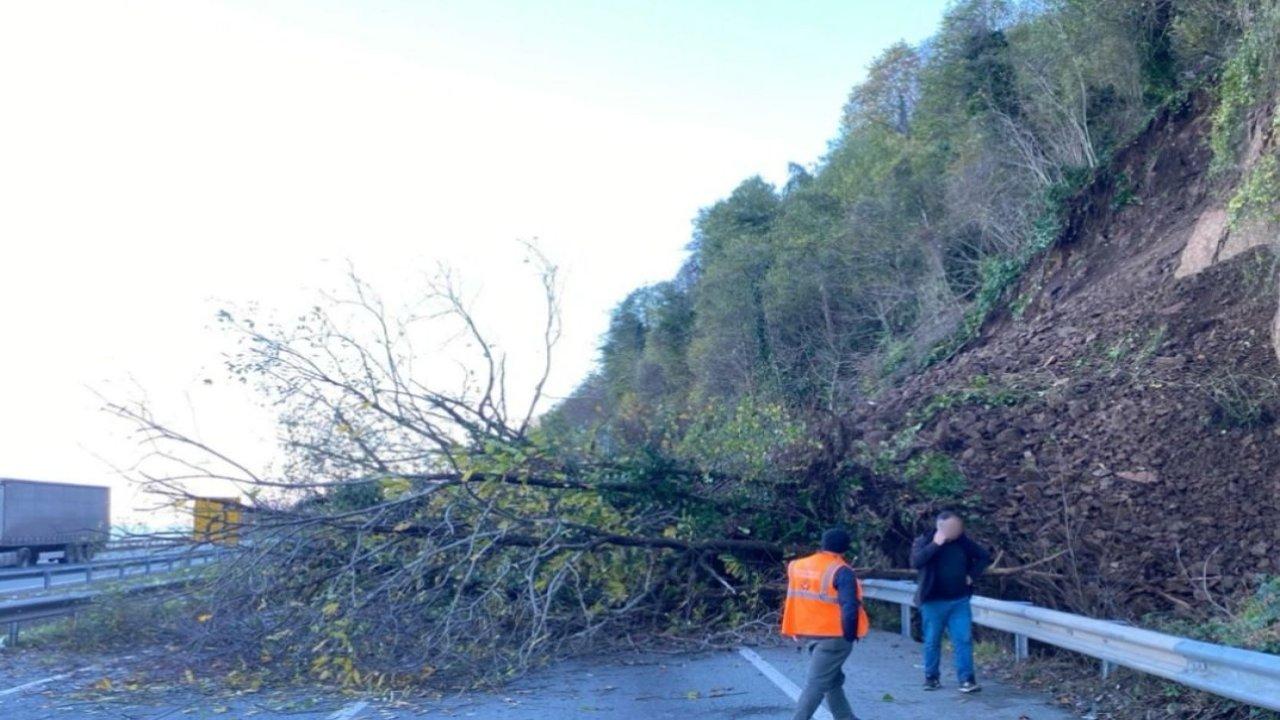 Karadeniz Sahil Yolu'nda heyelan: Karayolu ulaşıma kapandı