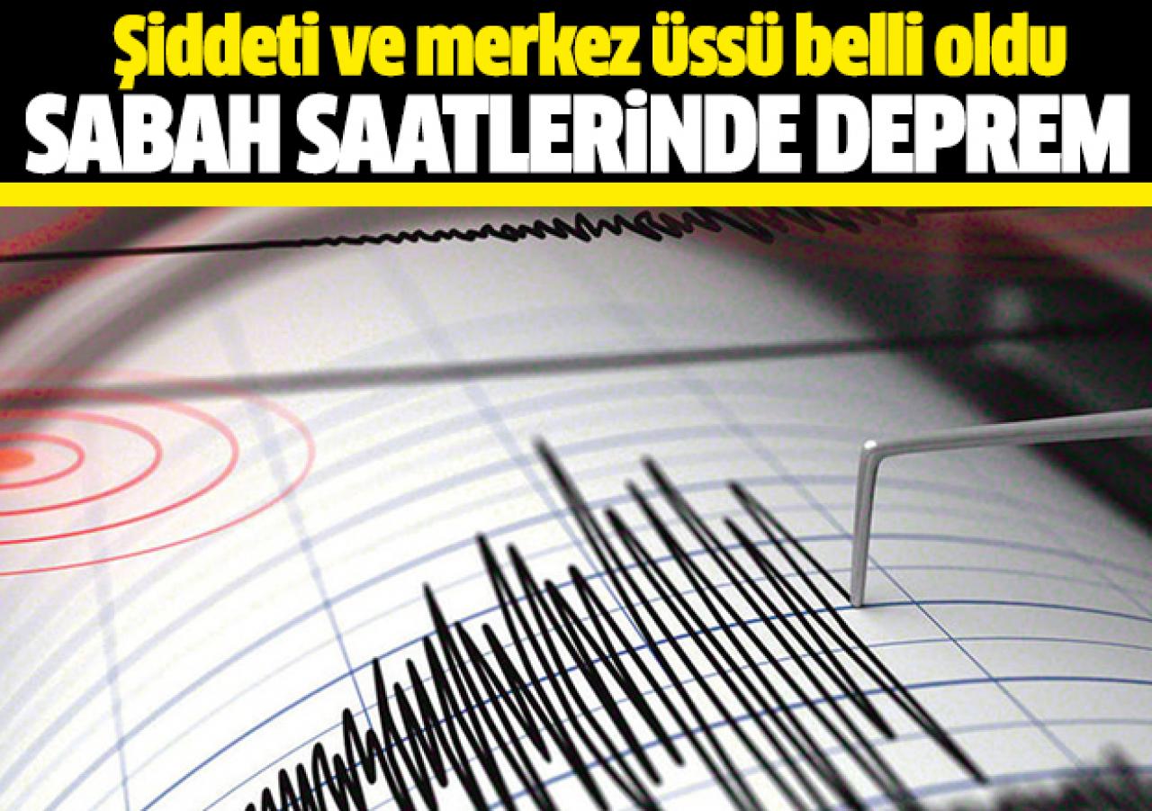 Muğla'da 4.2 şiddetindeki deprem paniğe sebep oldu