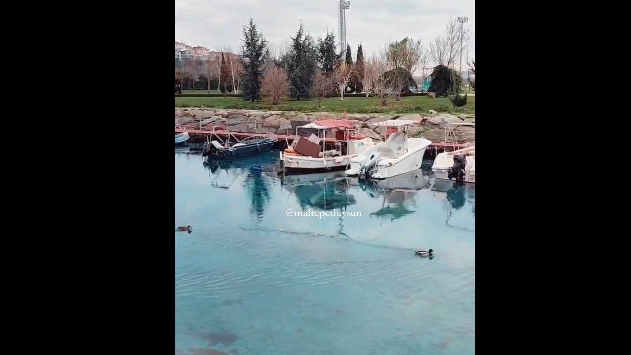 İstanbul’da denizin berraklığı şaşırttı!