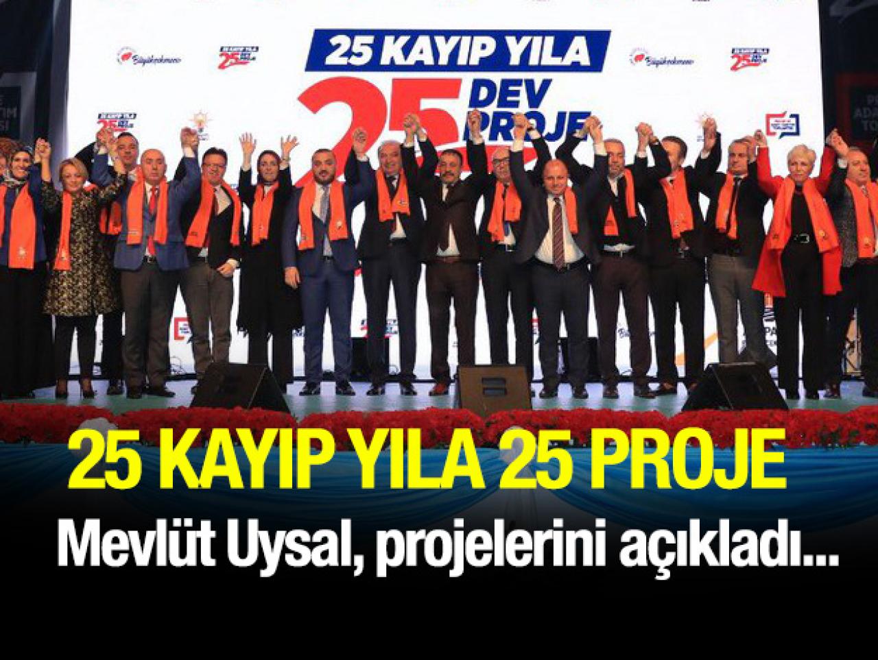 25 KAYIP YIL 25 PROJE