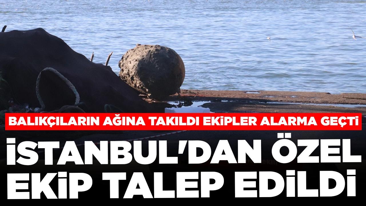 Balıkçıların ağına takıldı, ekipler alarma geçti: İstanbul'dan özel ekip talep edildi