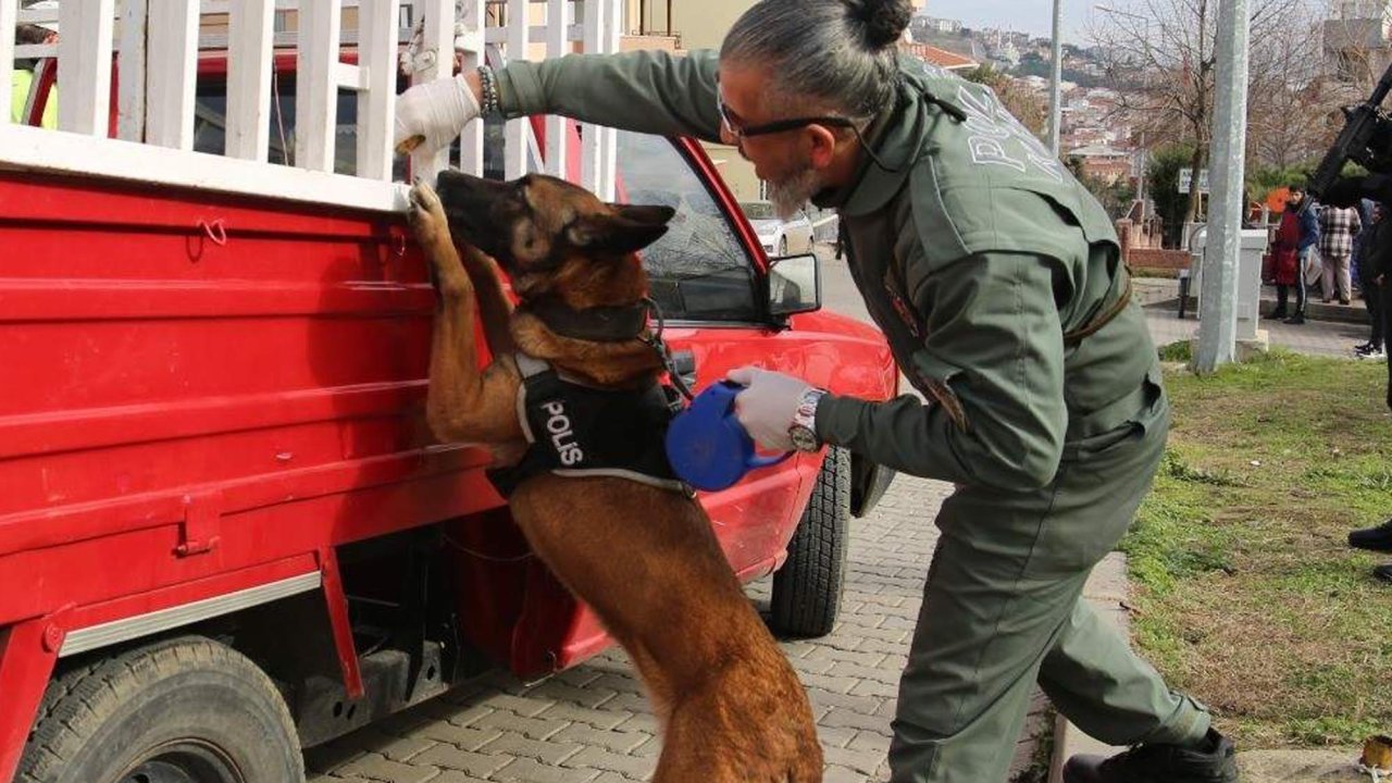 Narkotik köpeği Larissa kanserden öldü