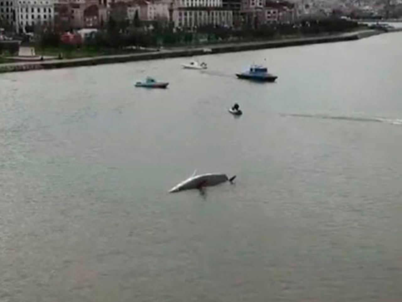 Haliç'te yelkenli tekne battı